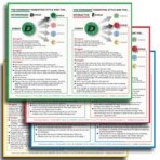 Parenting Flip Charts